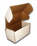 PUDEŁKO OPAKOWANIE KARTON 200x100x100 BIAŁE 25szt